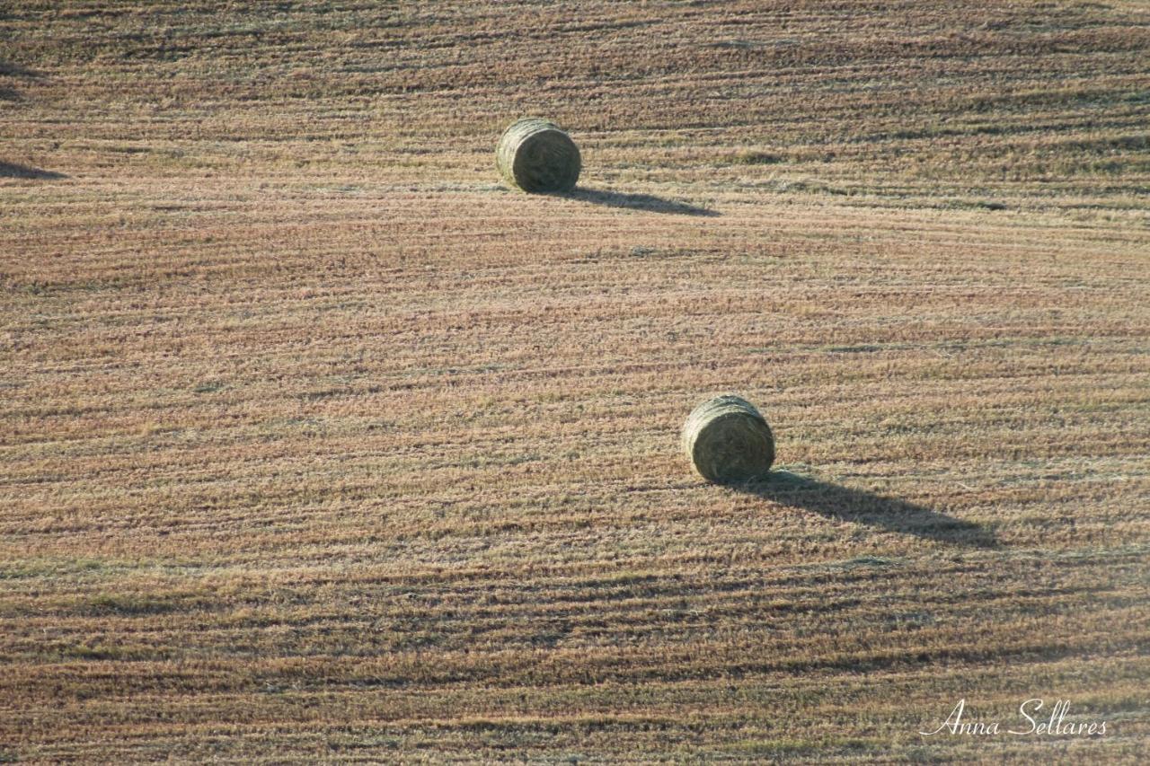 Soleluna San Quirico dʼOrcia Екстериор снимка