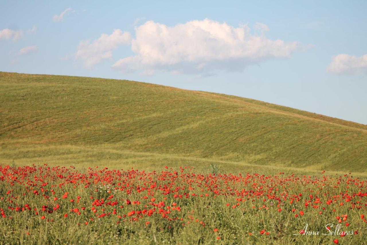 Soleluna San Quirico dʼOrcia Екстериор снимка